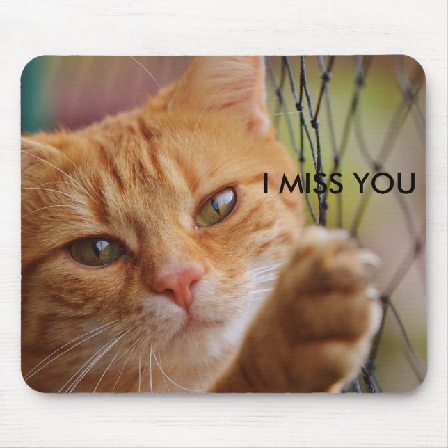 MOUSEPAD SINTO SUA FALTA (Frente)