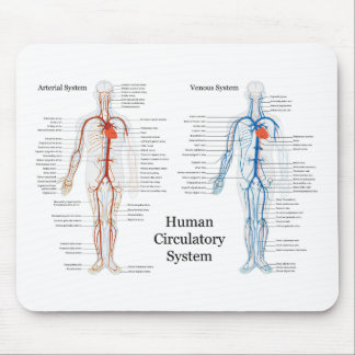 Mousepad Sistema circulatório humano das artérias e das