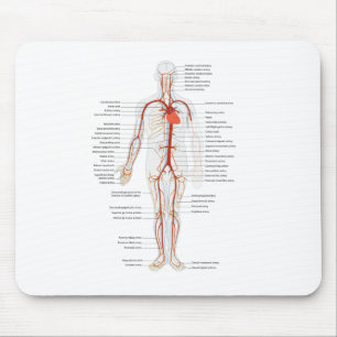 Mousepad Sistema circulatório humano do tapete do rato das