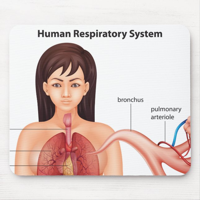 Mousepad Sistema respiratório feminino (Frente)