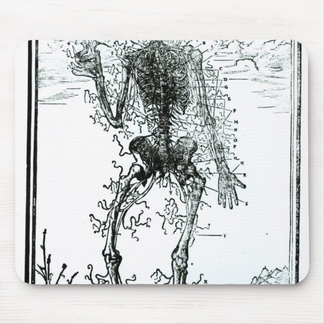 Mousepad Sistema vascular do corpo (Frente)