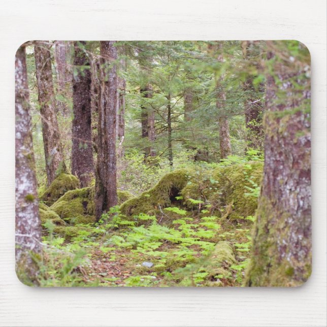 Mousepad Sitka Forest (Frente)