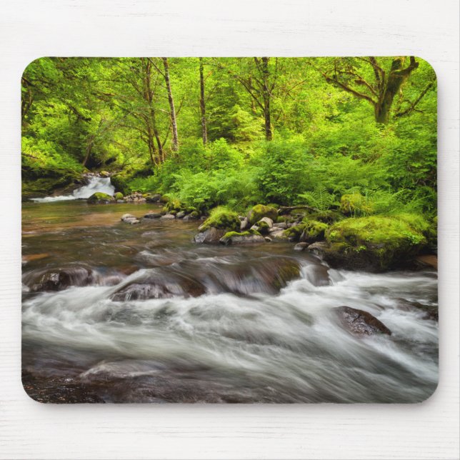 Mousepad Siuslaw National Forest, Sweet Creek, Oregon (Frente)