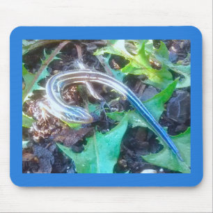 Mousepad Skink Cinco-Alinhado no dente-de-leão sae