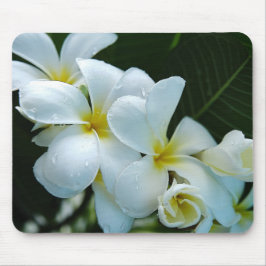 Mousepad Sleek elegance: the white frangipani flower
