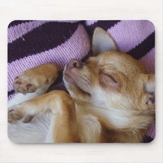 Mousepad Sleeping Chihuahua (Frente)