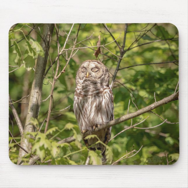 Mousepad Sleepy Barred Owl (Frente)