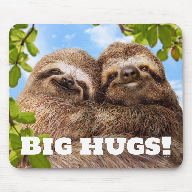 Mousepad Sloth Couple (Frente)