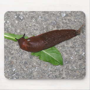 Mousepad Slug