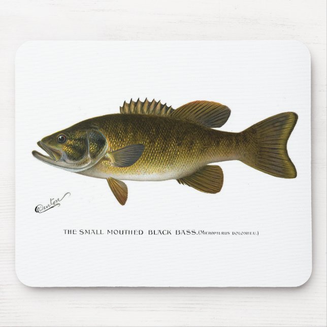 Mousepad Smallmouth bass (Frente)