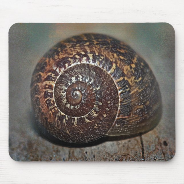 Mousepad Snail Shell (Frente)