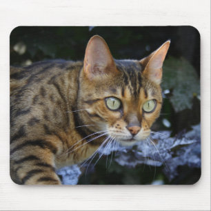 Mousepad Sneaking Bengal Cat
