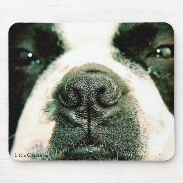 Mousepad Sniff do Sniff (Frente)