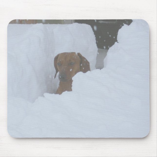 Mousepad Snowbound (Frente)