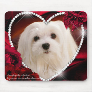 Mousepad Snowdrop o tapete do rato maltês