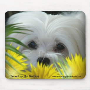 Mousepad Snowdrop o tapete do rato maltês