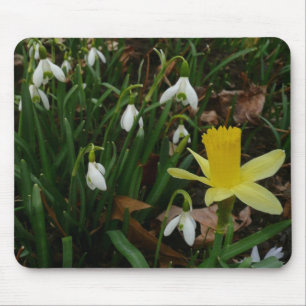 Mousepad Snowdrops e o Daffodil saltam cedo floral