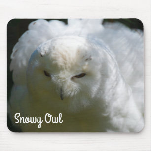 Mousepad Snowy Owl