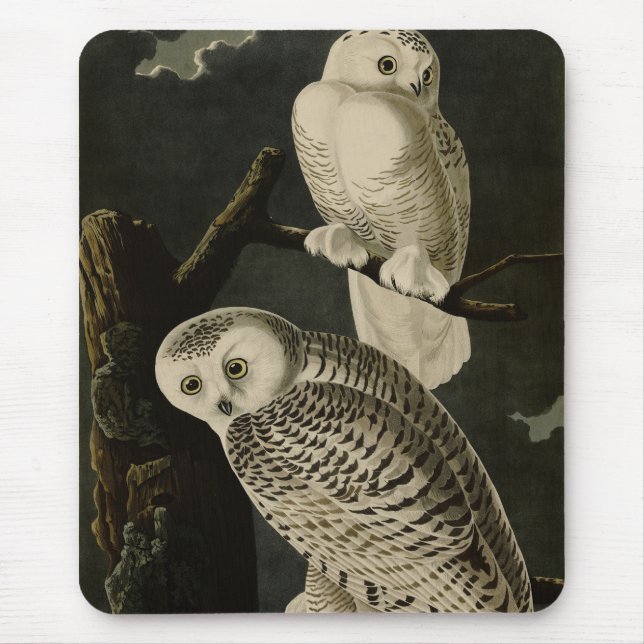 Mousepad Snowy Owl, Pássaros da América de John James Audub (Frente)