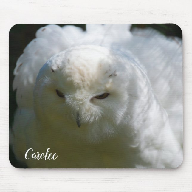 Mousepad Snowy Owl Sai do Nome Personalizado do Pássaro de  (Frente)