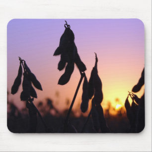Mousepad Soja no Sunset