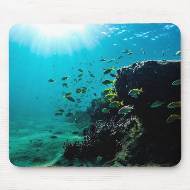 Mousepad Sol e Peixes Tropicais (Frente)