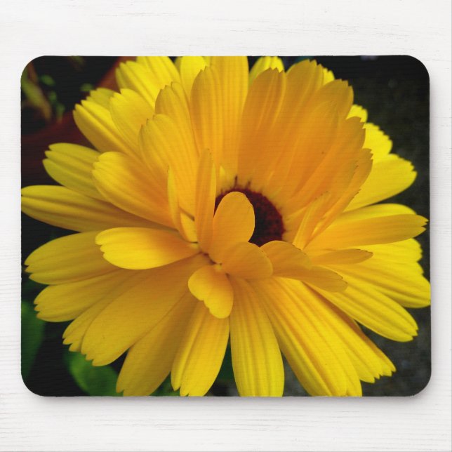 Mousepad Soleil couchant! (Frente)