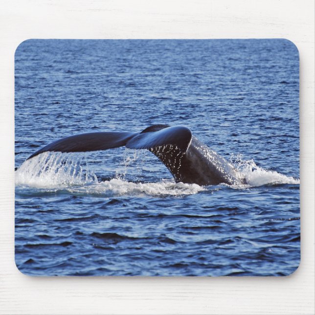 Mousepad Solha da baleia de Humpback, Victoria, BC (Frente)