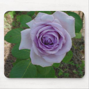 Mousepad Solteiro de proteção para mouse Rosa roxo