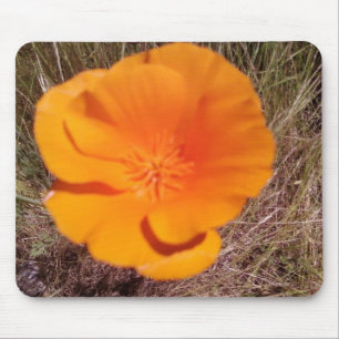 Mousepad Solteiro Poppy