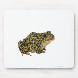 Mousepad Sombra do sapo
