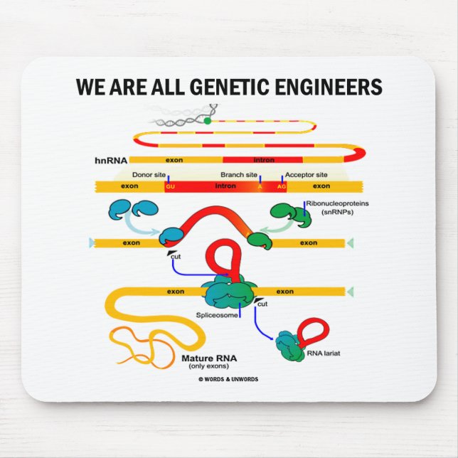 Mousepad Somos Todos Engenheiros Genéticos (Splicing RNA) (Frente)