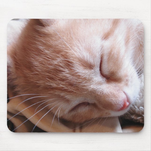 Mousepad Sonhando com o rato (Frente)
