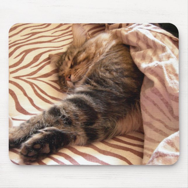 Mousepad Sonhar com o veldt (Frente)