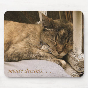 Mousepad sonhos do rato.