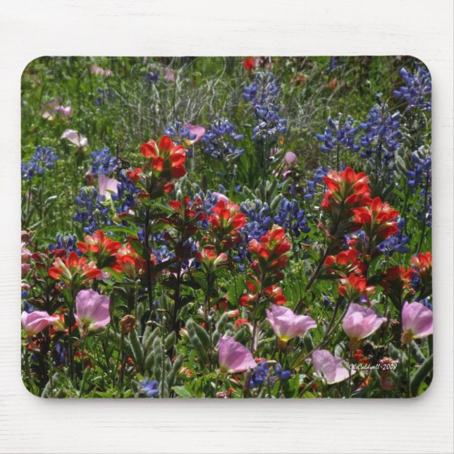 Mousepad Sonhos do Wildflower (Frente)