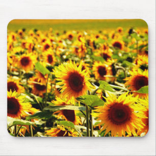 Mousepad Sonnenblume