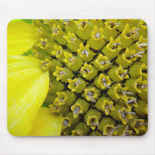 Mousepad Sonnenblumenblütchen (Frente)