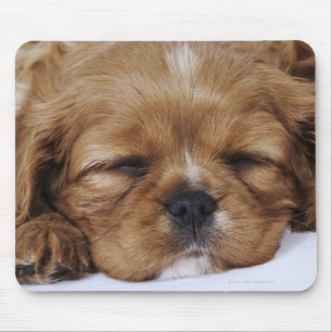 Mousepad Sono descuidado do filhote de cachorro do Spaniel