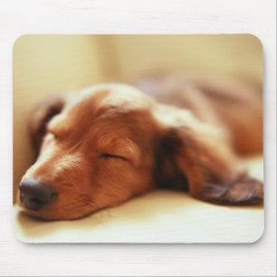 Mousepad Sono do Dachshund