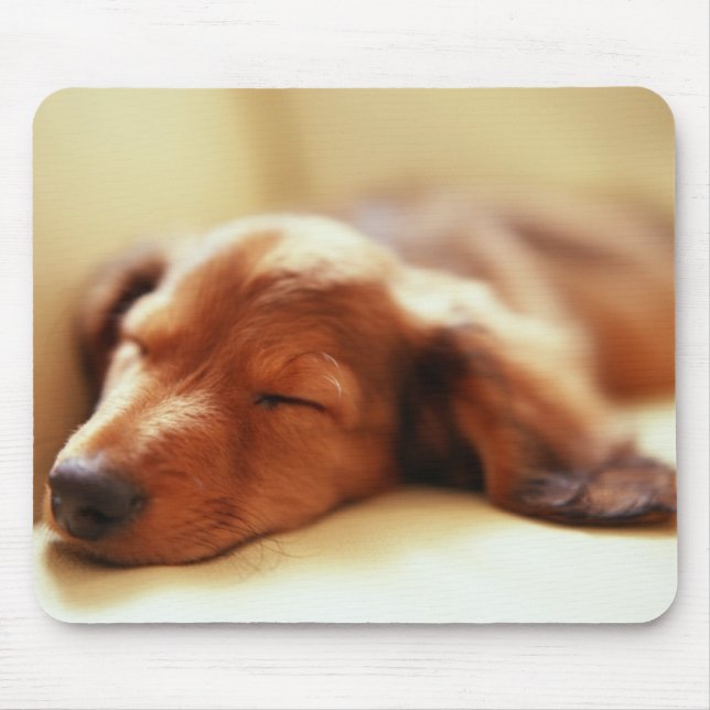 Mousepad Sono do Dachshund (Frente)