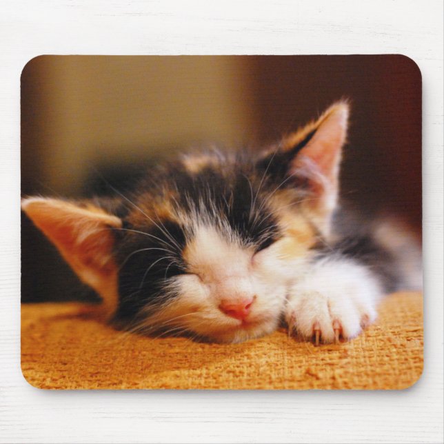 Mousepad Sono pequeno do gatinho (Frente)
