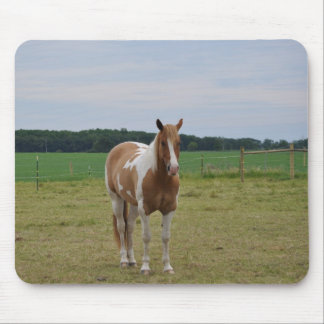 Mousepad Sorrel Tobiano Paint Horse