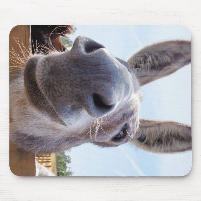 Mousepad Sorriso de burro com Bobo (Frente)