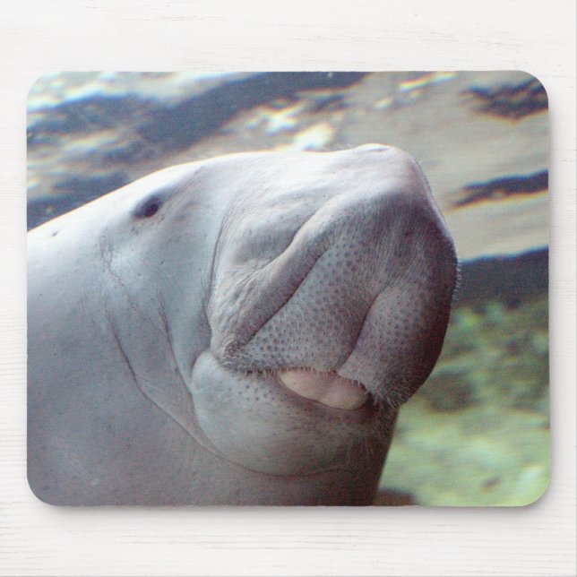 Mousepad Sorriso de Dugong (Frente)