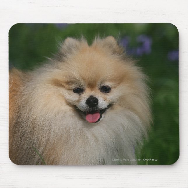 Mousepad Sorriso de Pomeranian (Frente)