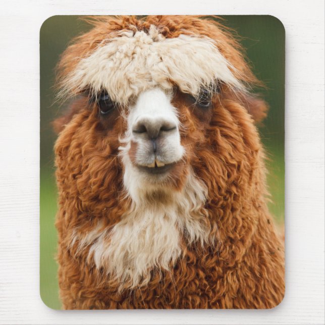 Mousepad Sorrisos da alpaca (Frente)