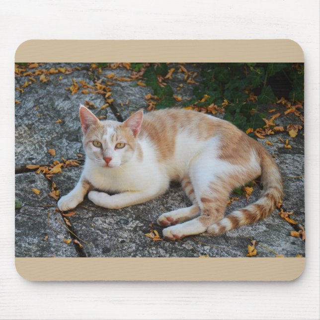Mousepad Sorte o lindo gato (Frente)