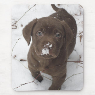 Mousepad Sosa Lakota