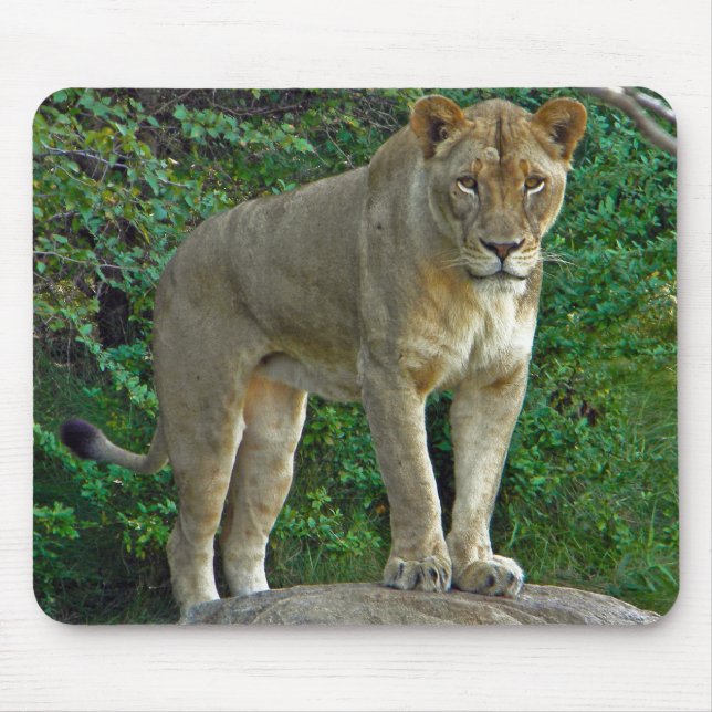 Mousepad Sou Mulher! (Frente)